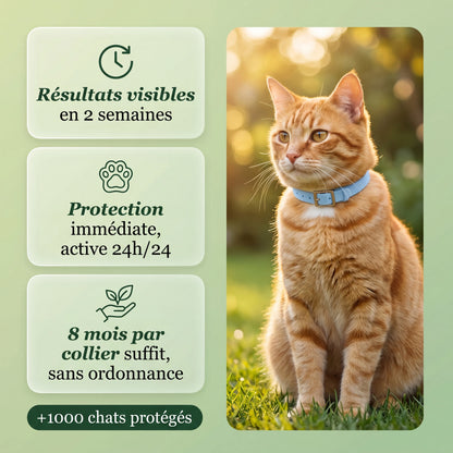 Stoptick - Le collier anti-puces et tiques longue durée.