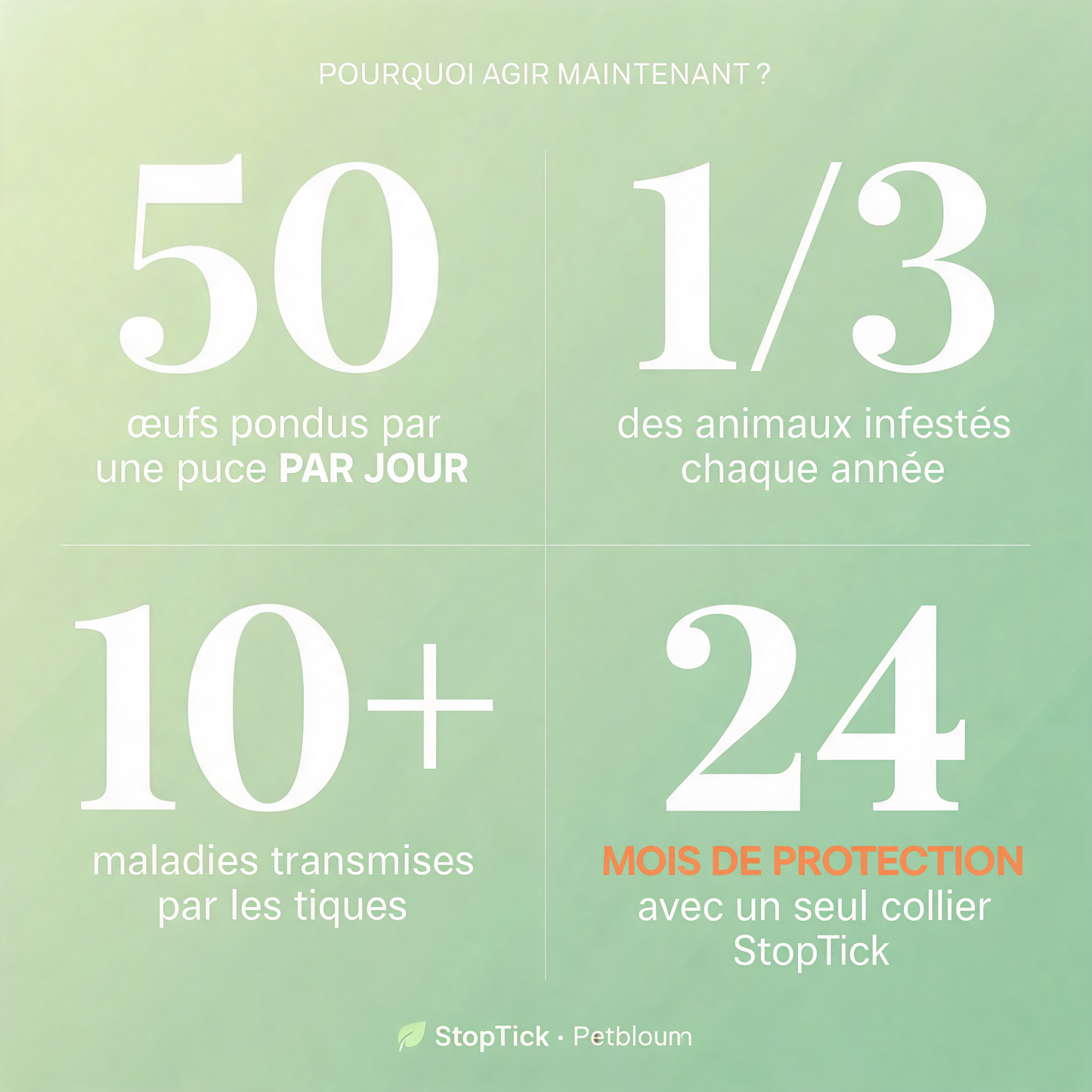 Stoptick - Le collier anti-puces et tiques longue durée.