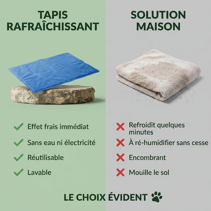 Tapis rafraîchissant