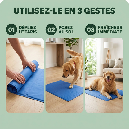 Tapis rafraîchissant